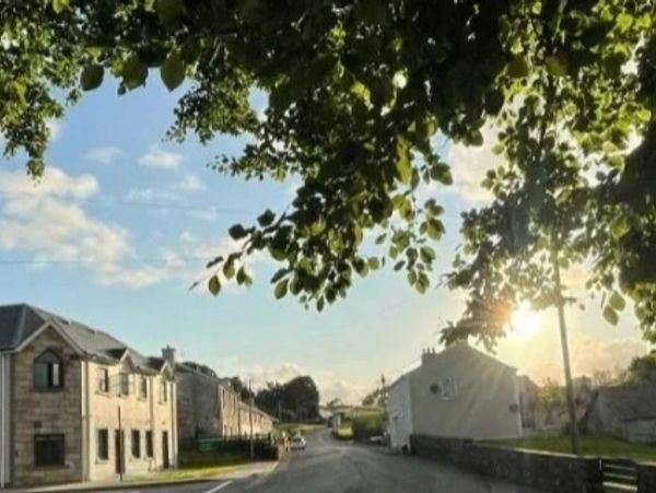 Sunlit rural street with houses and trees on a clear day.