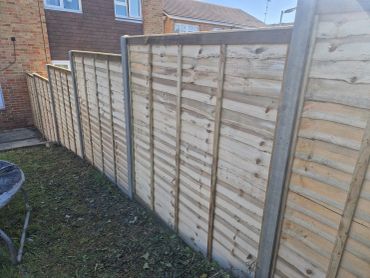New wooden fence panels installed along a garden boundary.