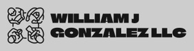 WILLIAM J GONZALEZ LLC