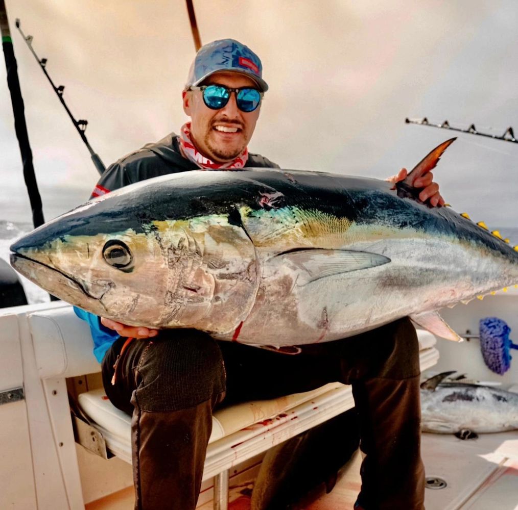 The Ultimate Guide to Bluefin Tuna Fishing Ensenada