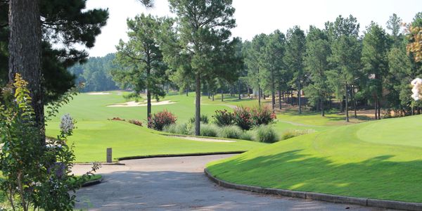 A sunny golf course with green fairways and trees.