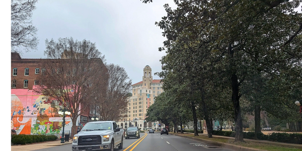 Street view with cars, trees, and a tall building with clock tower.