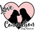 Love Connection Dog Rescue