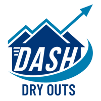 Dash Dry Outs