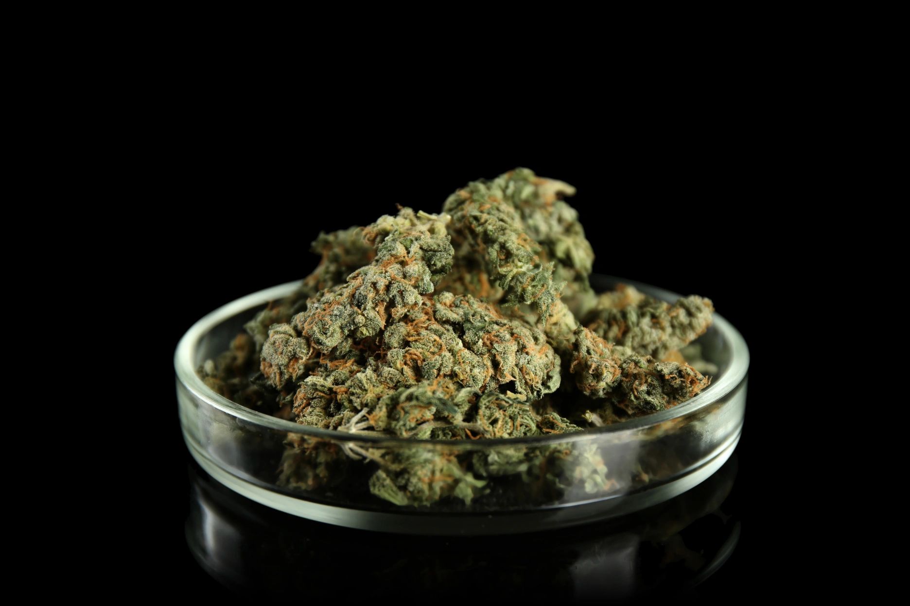 Scissortail Laboratory Laboratory Oklahoma City, Oklahoma