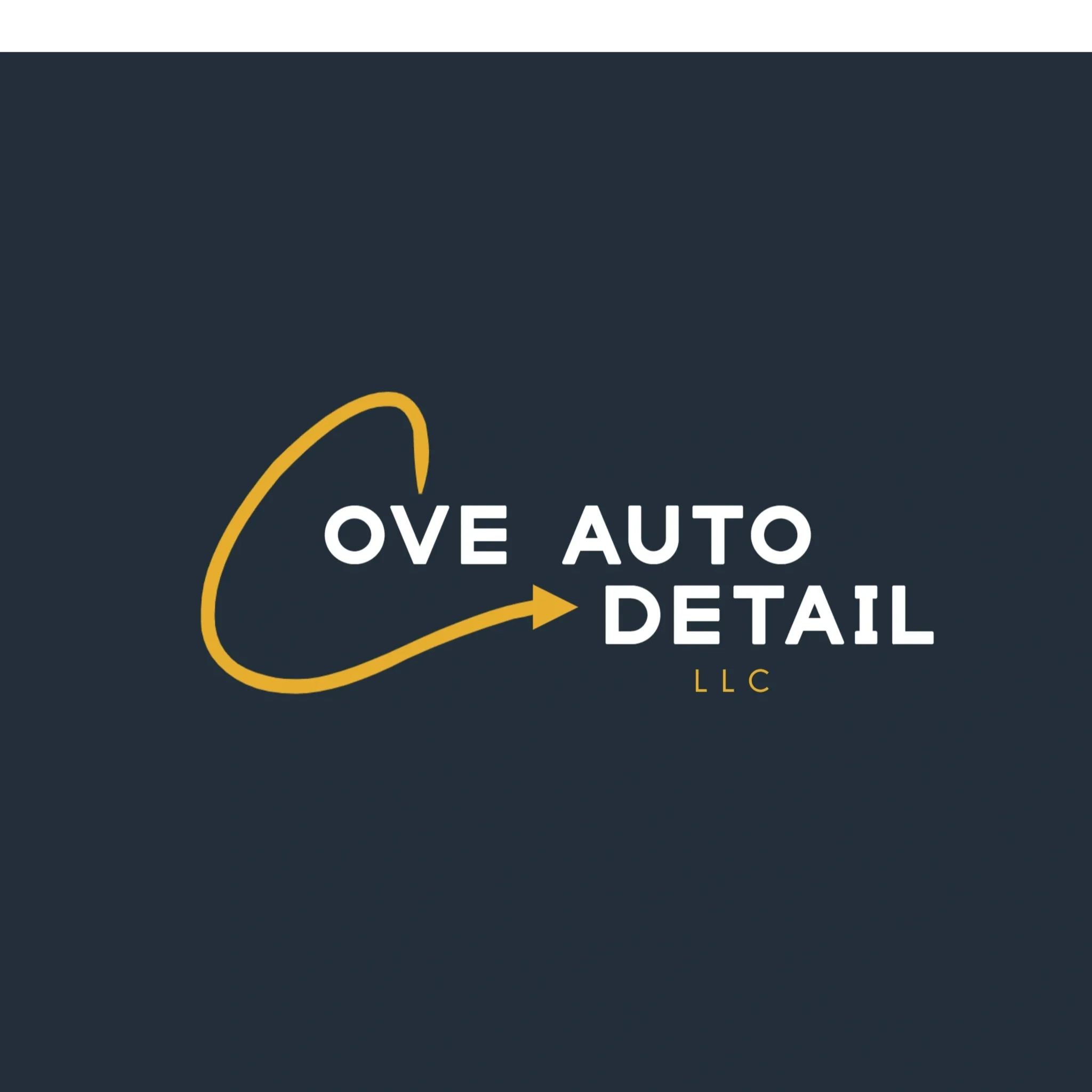 Cove Auto Detail Interior Detailing, Polish and Paint Correction