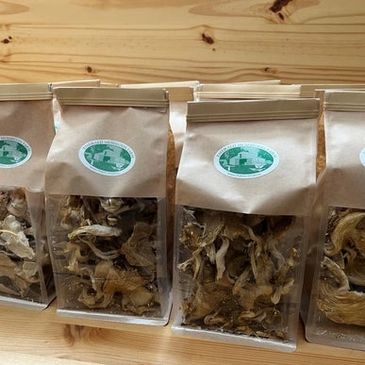 Dried Shiitake mushrooms from Emerald Mushroom Farm in Virginia fresh, 