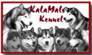 Kalamals Alaskan Malamutes