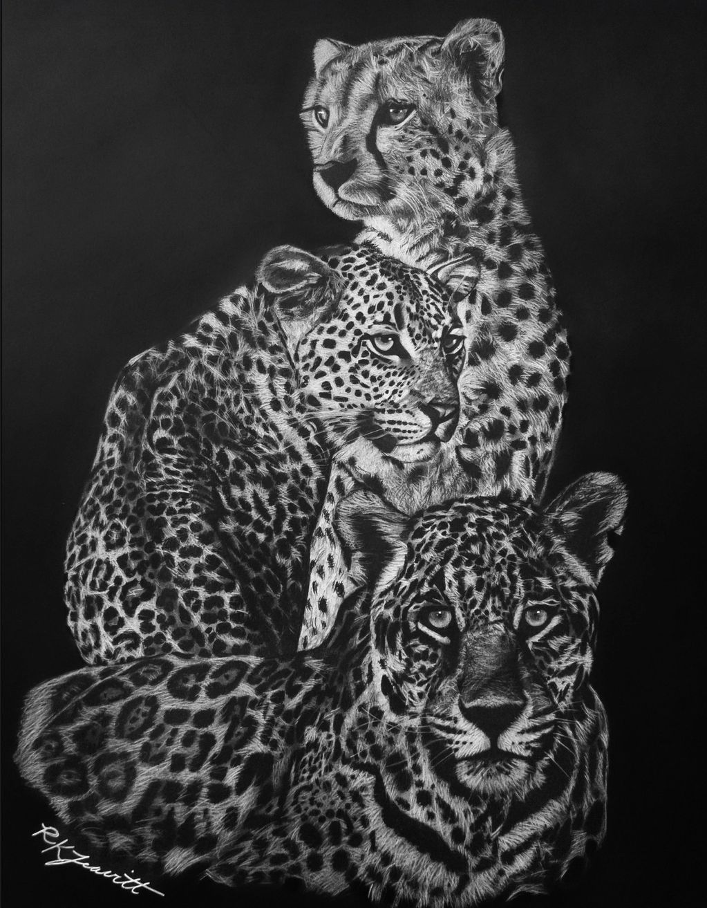 Monochrome drawing of three big cats clustered together.