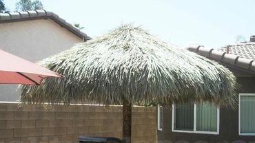 1 post mexican palapa with website in the bottom of image