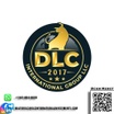 DLC INTERNATIONAL 
INVESTMENT LLC