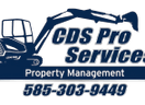 CDS Pro Services