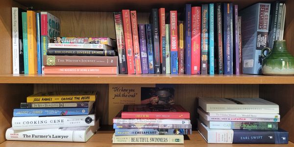 Bookshelves filled with diverse books and a green vase on the right.
