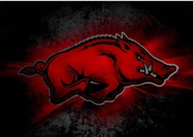 Hogs Youth Sports
