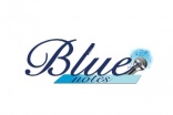 Bluenotesinc.com