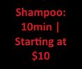 Shampoo: 10min | Starting at $10