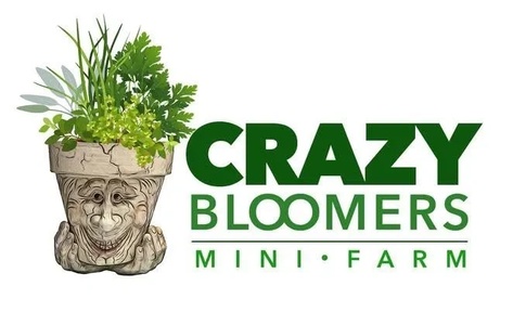 Crazybloomers Mini Farm
