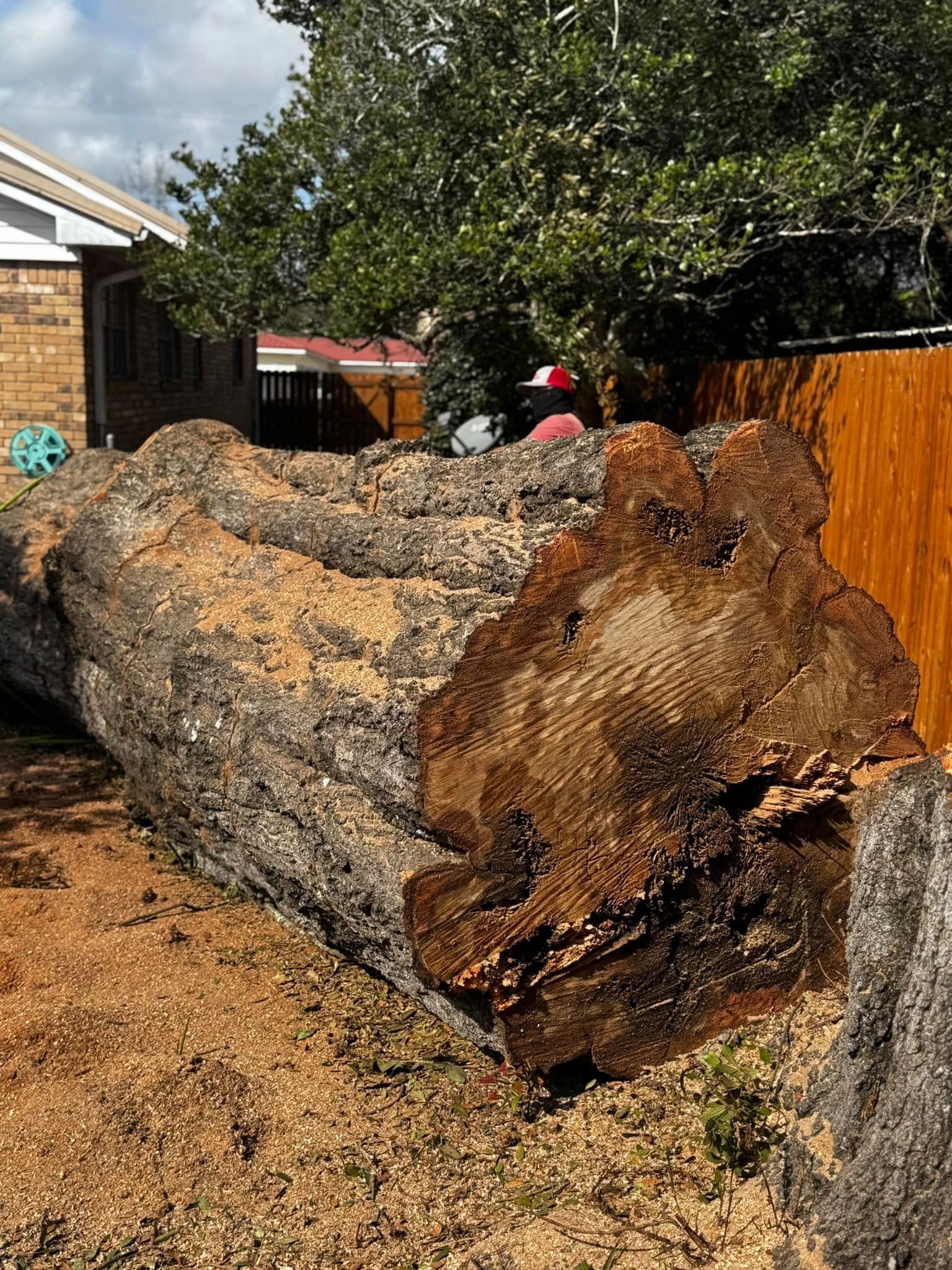 Gallery Preview