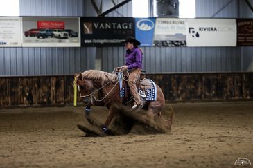 Horse and rider performing a sliding stop indoors.