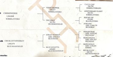A detailed whiskey barrel inventory chart with specific barrel codes and quantities.