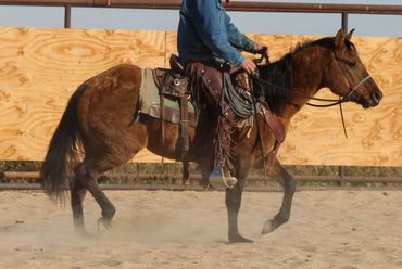 A rider on a brown horse in a dusty arena with wooden fencing.
