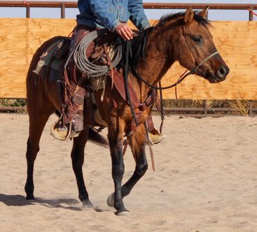 Person in denim jacket riding a brown horse with western gear.