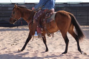 A person riding a brown horse in a sandy arena.