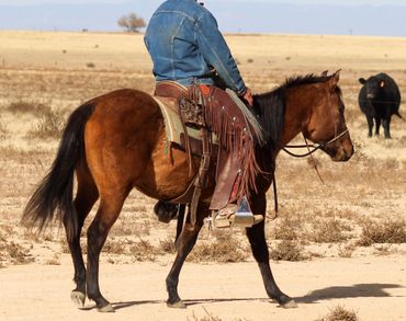 A person in a denim jacket rides a brown horse in a dry, open field.