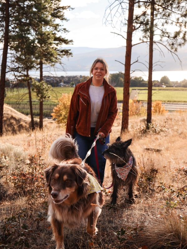 Woman walking two dogs in a sunny forest clearing.