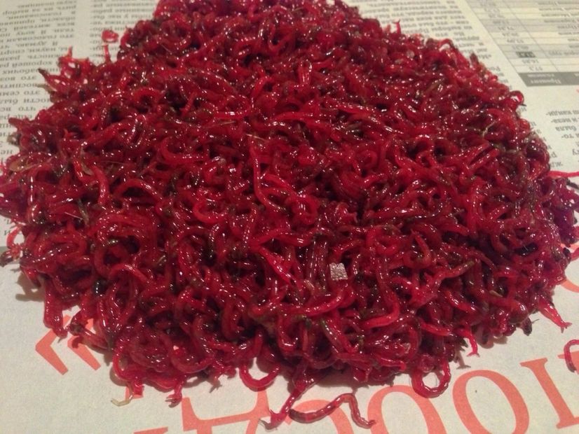 rs=w:1240,h:620,cg:true