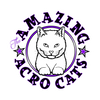 Amazing Acro Cats Rescue / Cat "Circus"