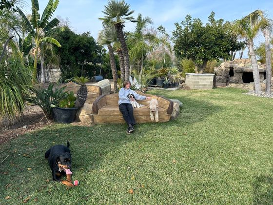 Tommy with dogs among the rock features at Dee Dog Park