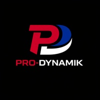 Pro-Dynamik