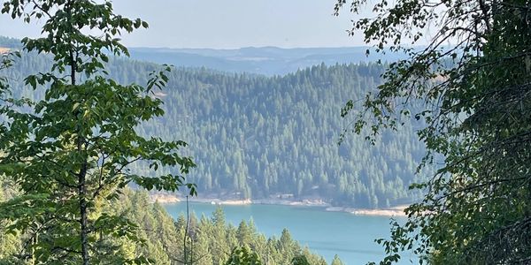 dworshak reservoir with timber