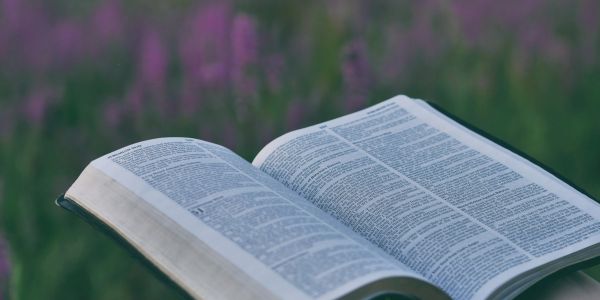 An open book with text, set against a blurred floral background.