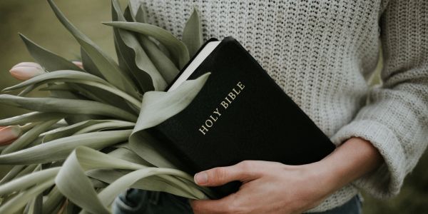 Person holding a Holy Bible amidst green leaves and soft light.