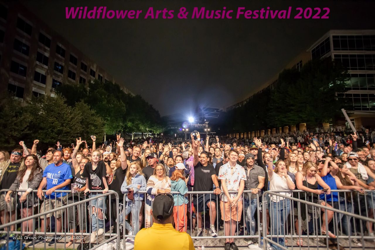 The Toadies fans