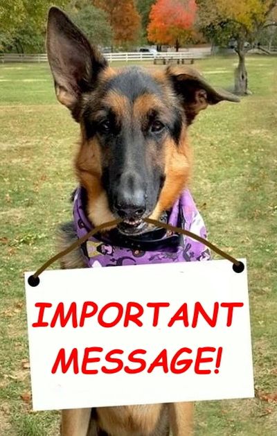 German Shepherd Resource And Rescue Center Inc Rescue Shelter