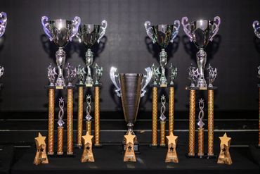 Trophies at ShowTops
