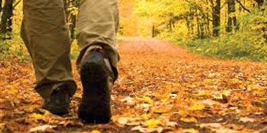 Fall Hiking is a great activity - and it's free!