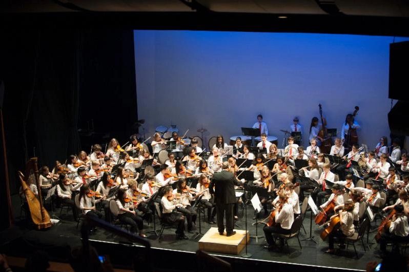 Youth Orchestras of Essex County performing in a concert.