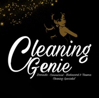 Cleaning Genie