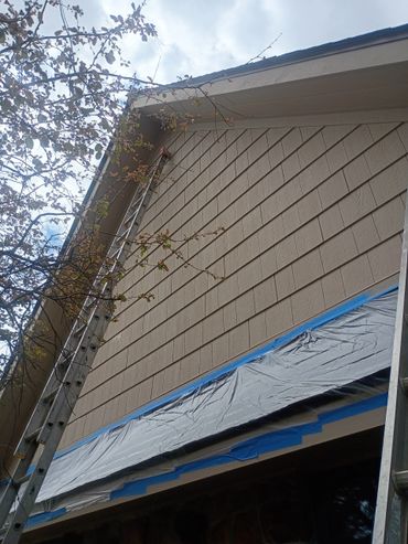 Ladder leaning against a house's beige siding under a cloudy sky.