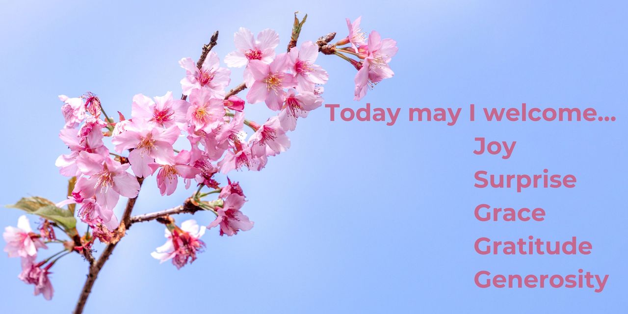 Photo of a cherry tree limb with pink blossoms. Today may I welcome joy, surprise, grace, gratitude, generosity.
