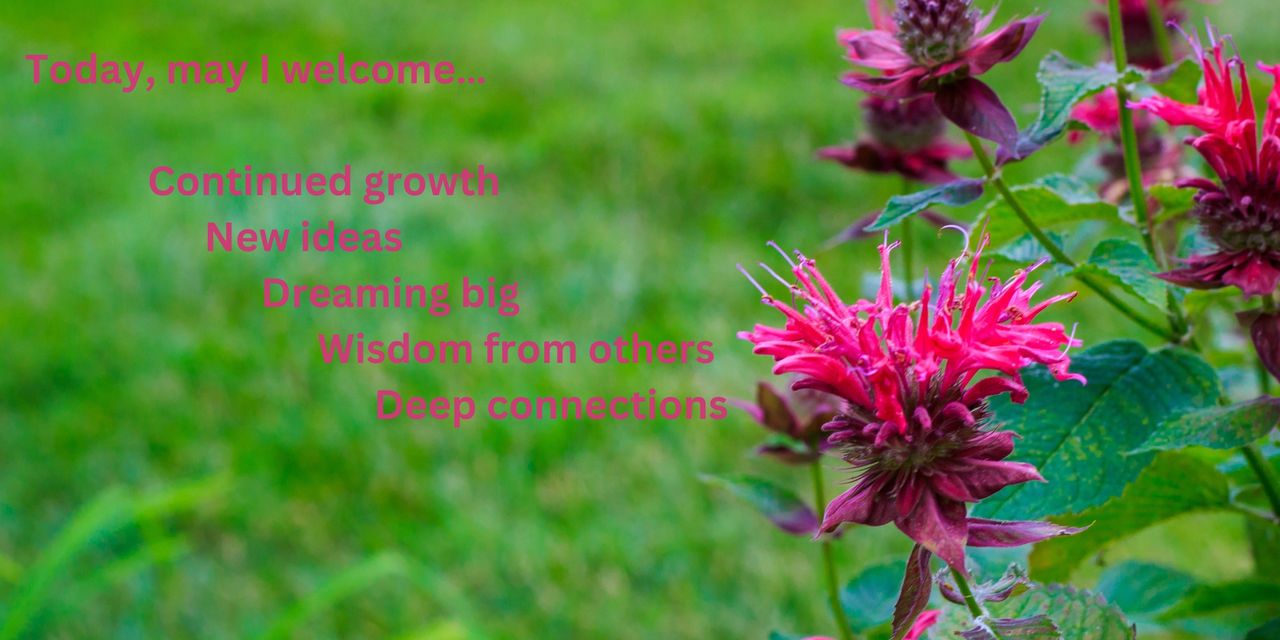 Bright pink bee balm in the corner with a grassy background.  Today, may I welcome… New ideas, Dreaming big, Connections with nature, Continued growth ,Wisdom from others