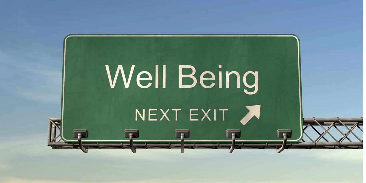 Large expressway street sign: Well Being Next Exit