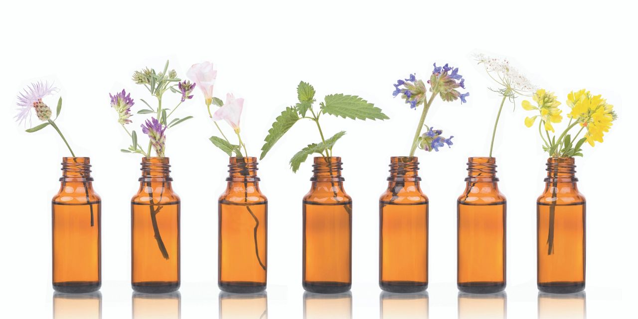 Six small brown aromatherapy bottles in a row; each holds a different plantholds 