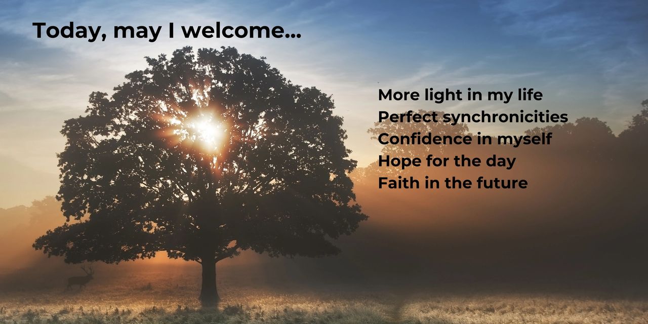 Image of the sun setting behind a large tree. Today, may I welcome...more light in my life, perfect synchronicities, confidence in myself, hope for the day, faith in the future