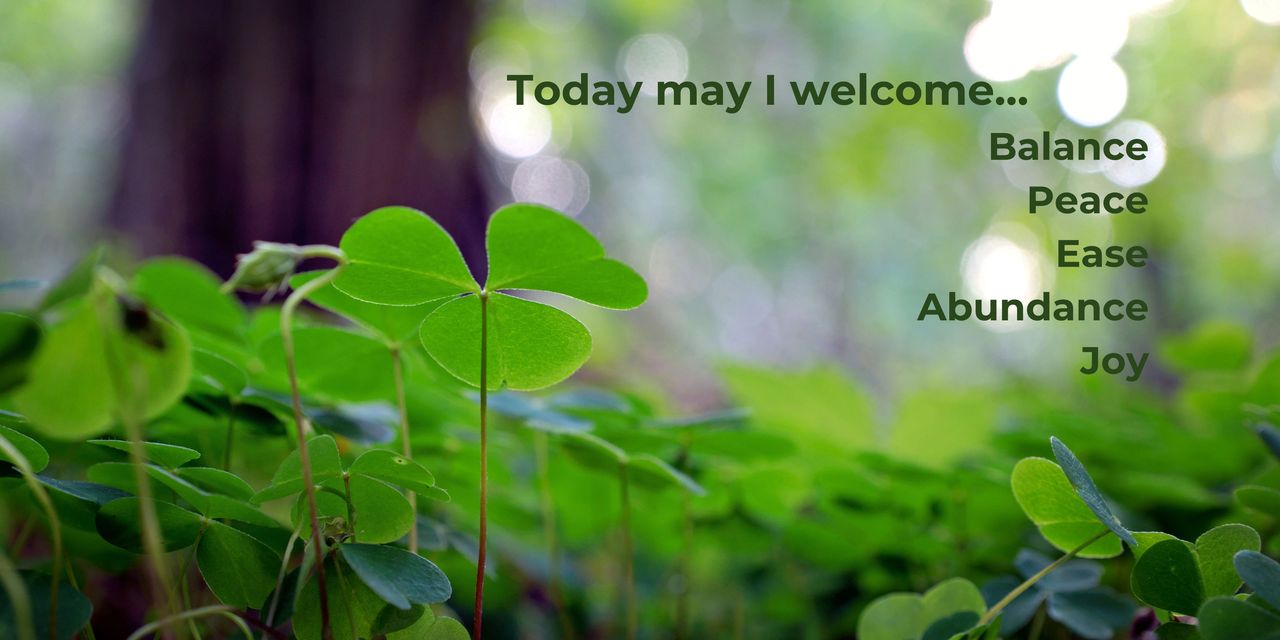 Photo of clover growing on a forest floor. Today, may I welcome...balance, peace, ease, abundance, joy