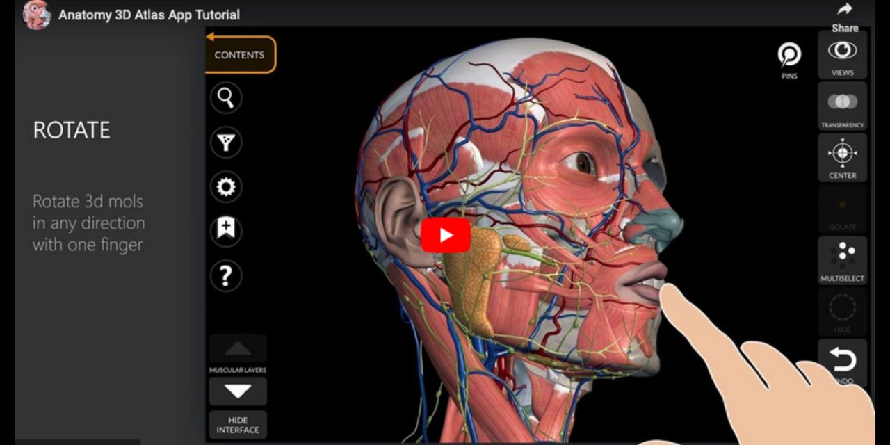 Anatomy 3D Atlas 